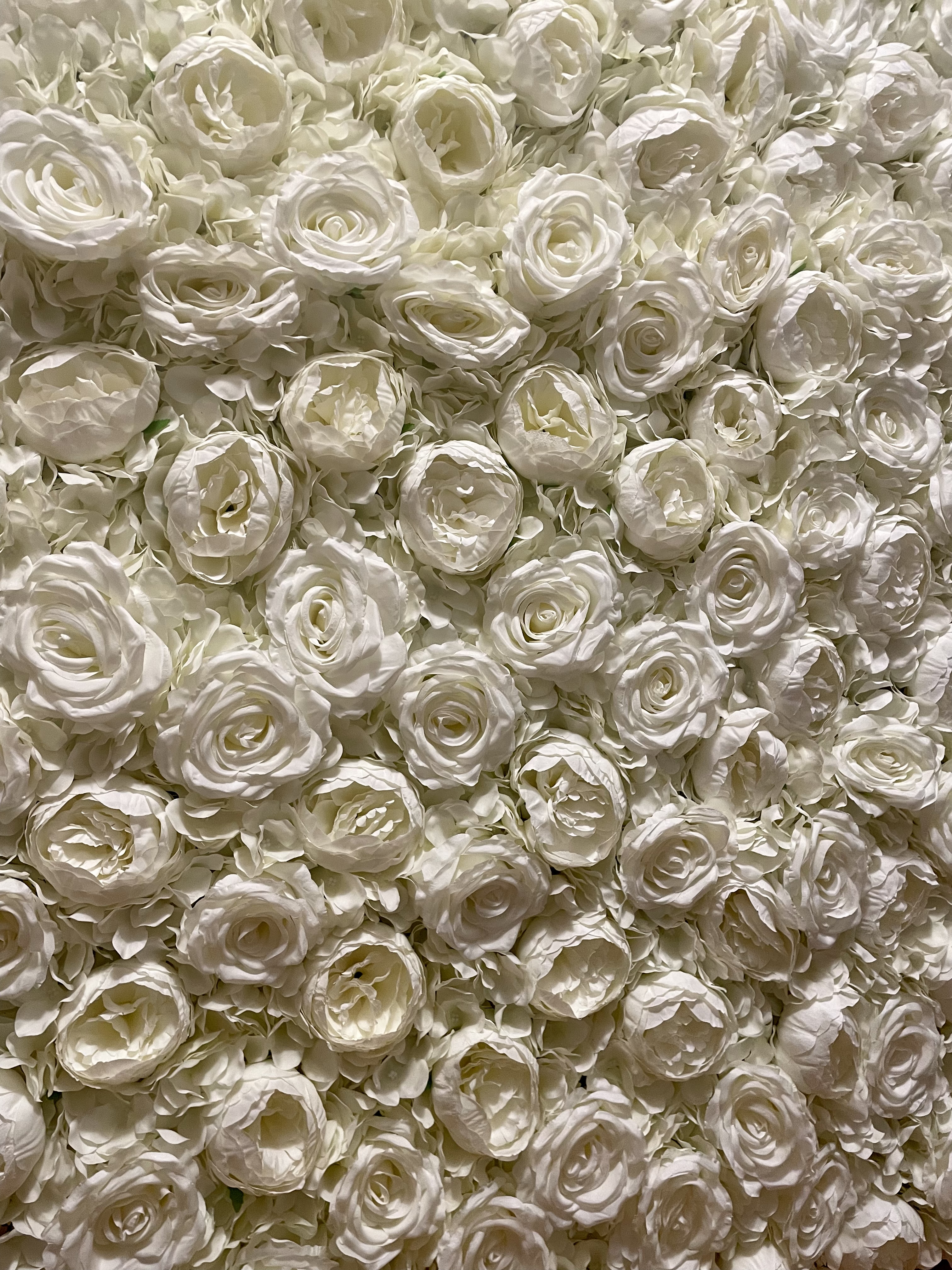 Mur de fleurs 240x240cm Blanc
